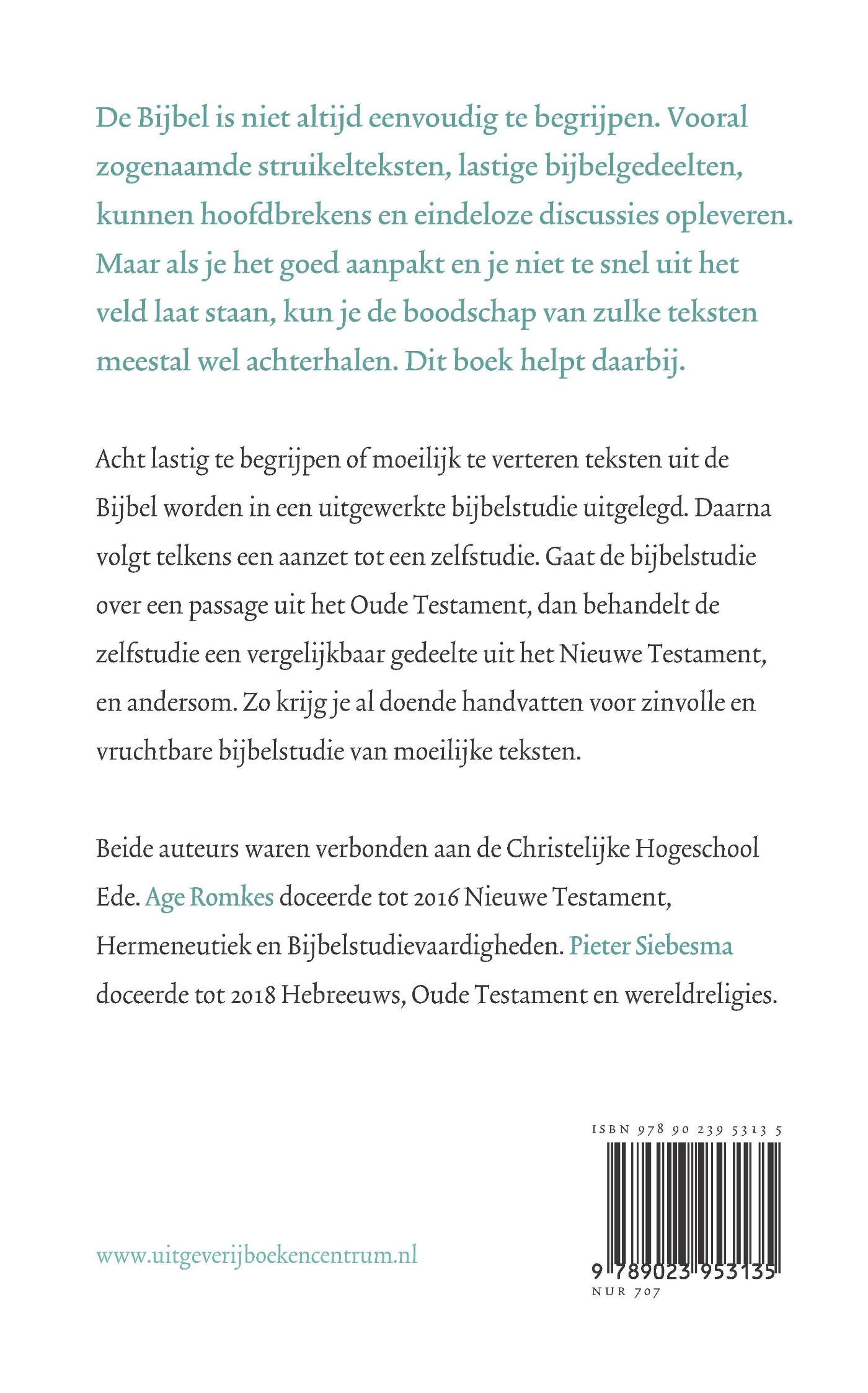 Achterkant van Struikelblokken