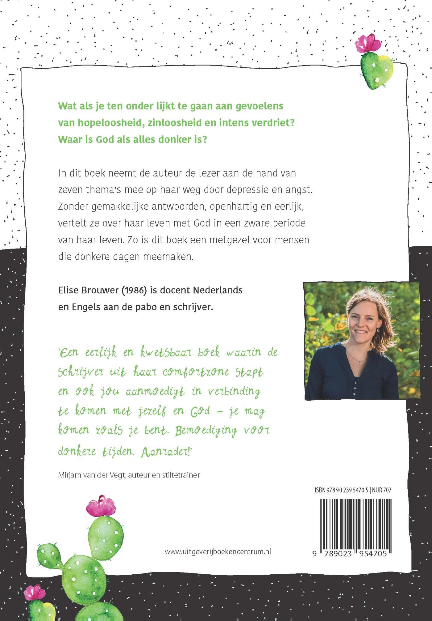 Achterkant van Woestijnregen