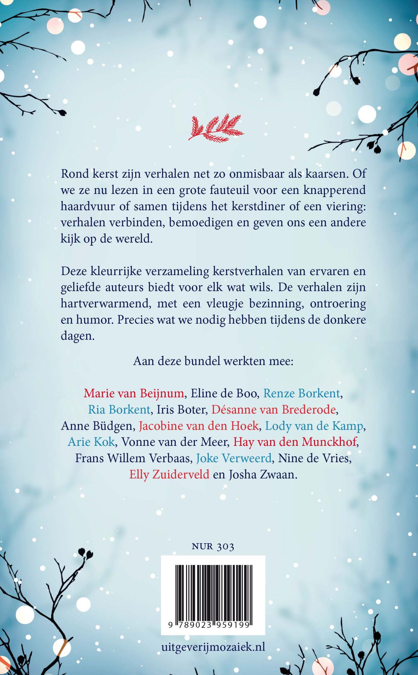 Achterkant van Dansen in de sneeuw