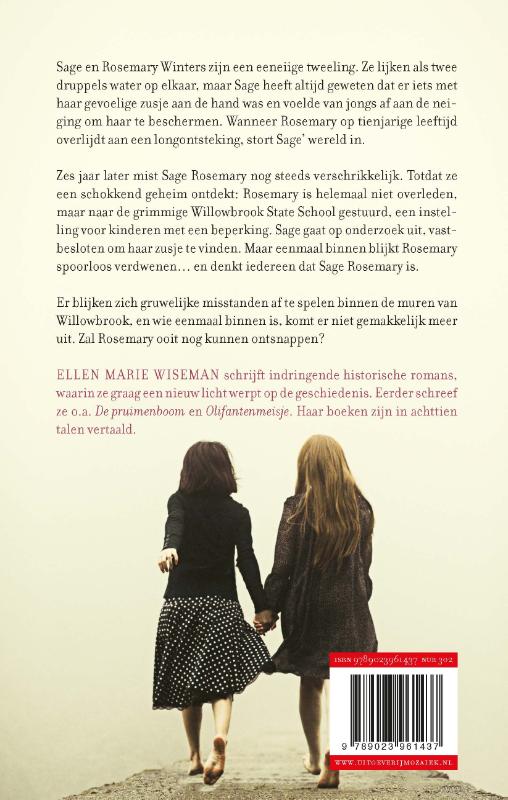 Achterkant van De verdwenen meisjes van Willowbrook