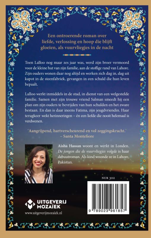 Achterkant van De jongen die de vuurvliegjes volgde