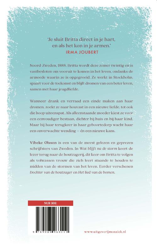 Achterkant van Wat blijft na de storm
