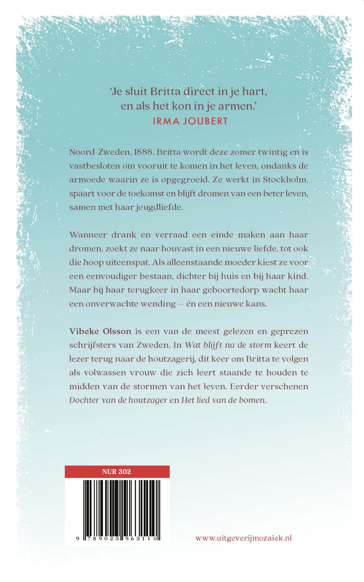 Achterkant van Wat blijft na de storm