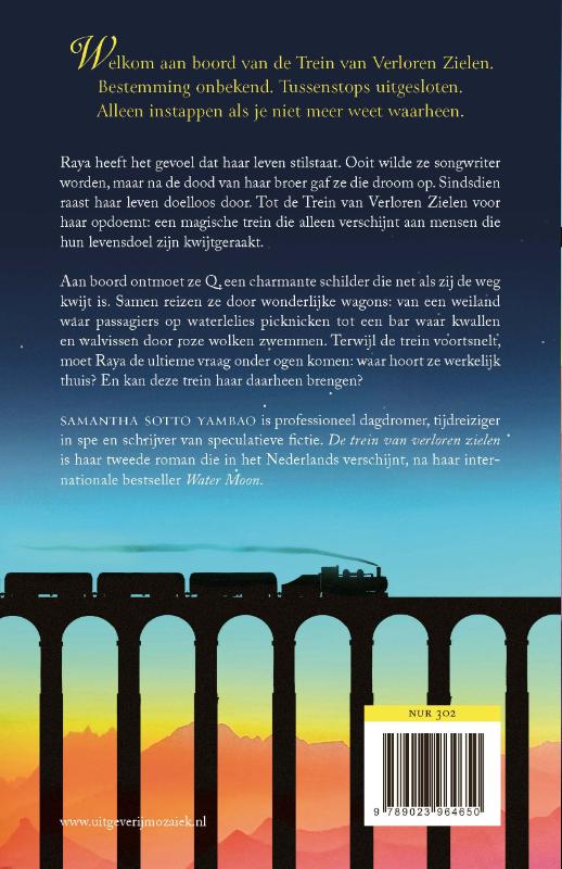 Achterkant van De trein van verloren zielen