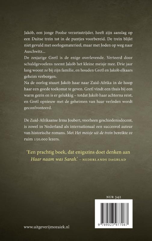 Achterkant van Het meisje uit de trein