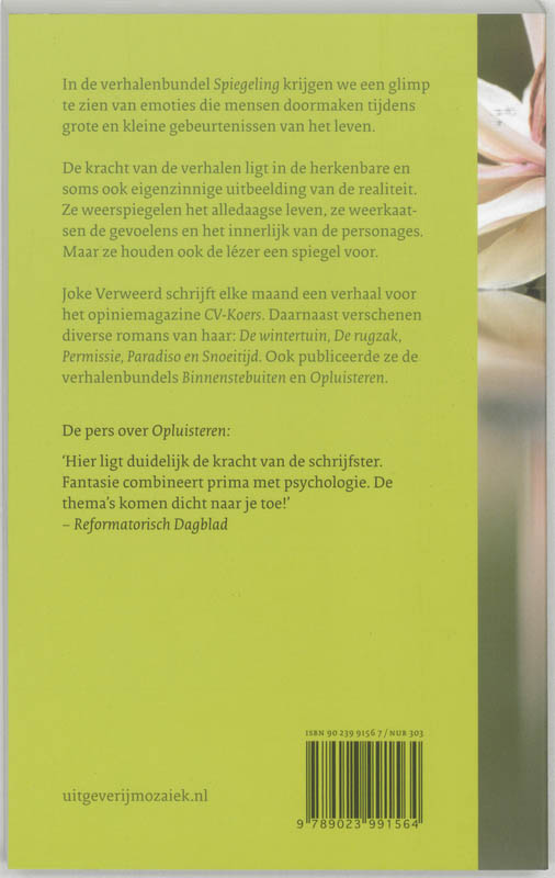 Achterkant van Spiegeling