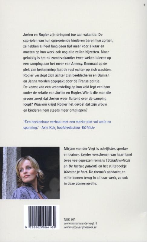 Achterkant van De zomer van de vreemdeling