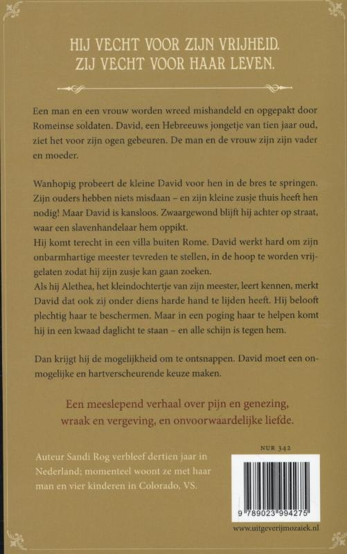 Achterkant van Davids belofte
