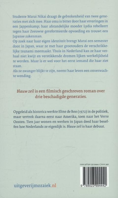 Achterkant van Blauw zeil