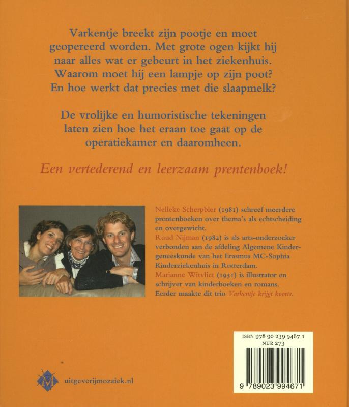 Achterkant van Varkentje krijgt gips