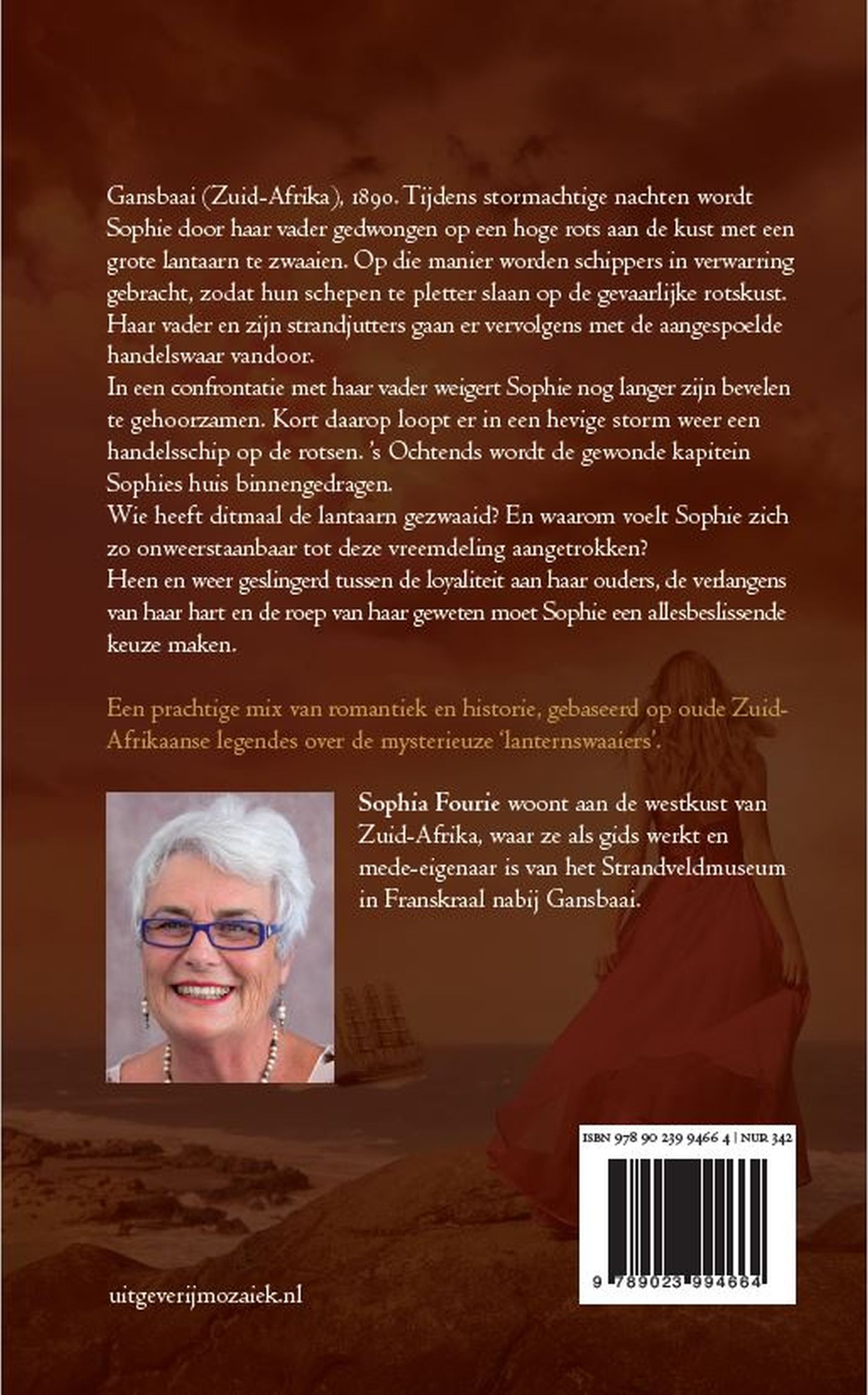 Achterkant van De lantaarnzwaaier
