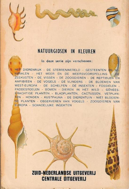 Achterkant van Natuurgids schelpen wereldz. in kleuren