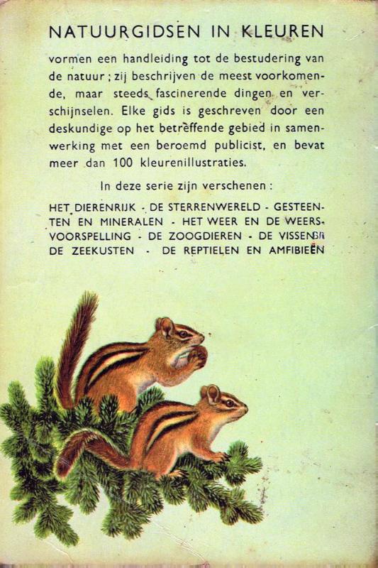 Achterkant van Natuurgids zoogdieren in kleuren