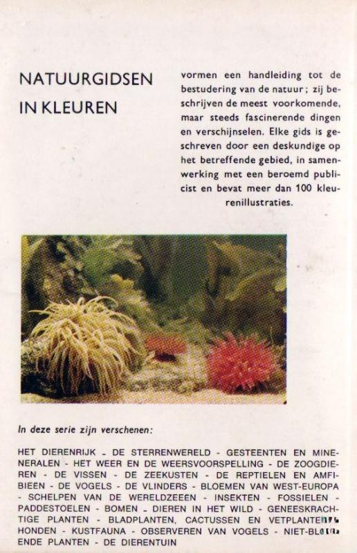 Achterkant van Natuurgids kustfauna