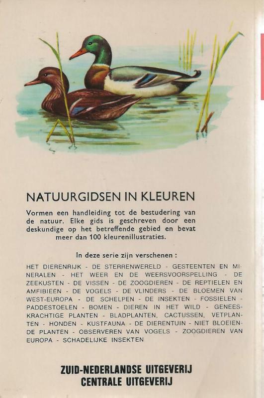 Achterkant van Natuurgids dieren in het wild