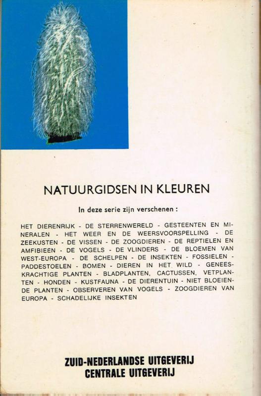 Achterkant van Natuurgids cactussen en vetplanten