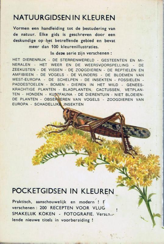 Achterkant van Natuurgids insecten