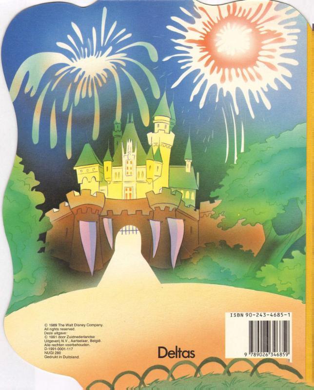 Achterkant van Donald in disneyland