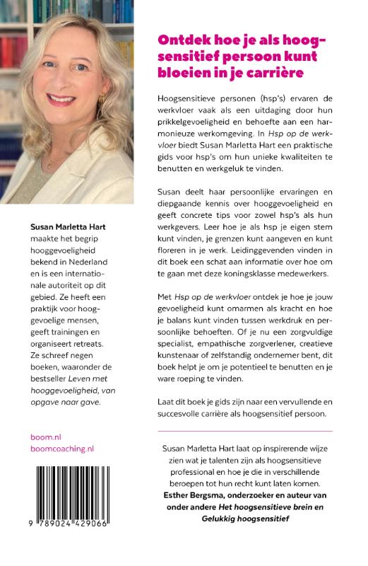 Achterkant van Hsp op de werkvloer