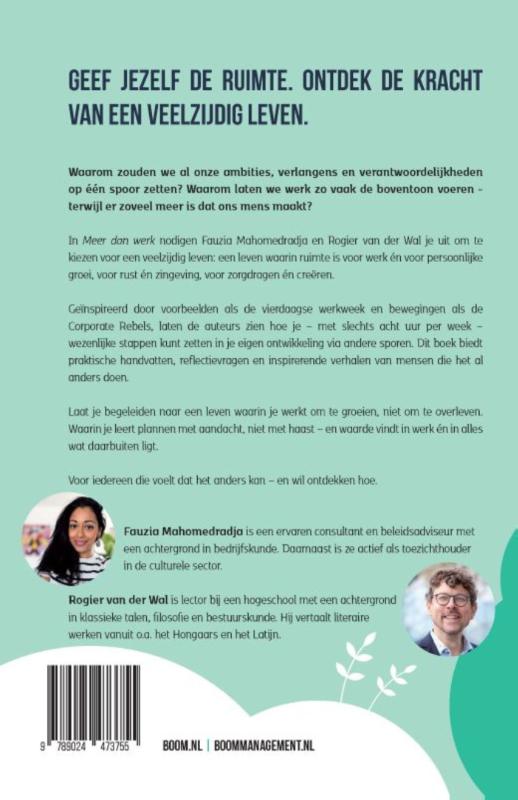 Achterkant van Meer dan werk