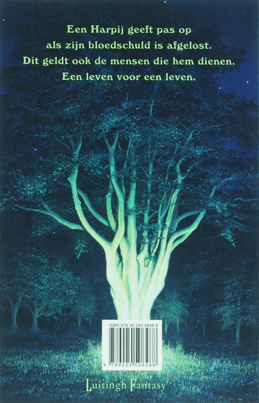 Achterkant van de vlucht