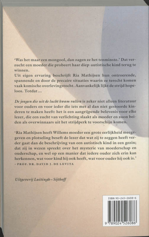 Achterkant van De jongen die uit de lucht kwam vallen
