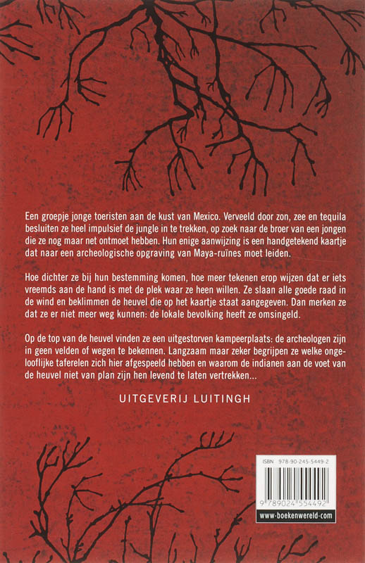 Achterkant van Ruine