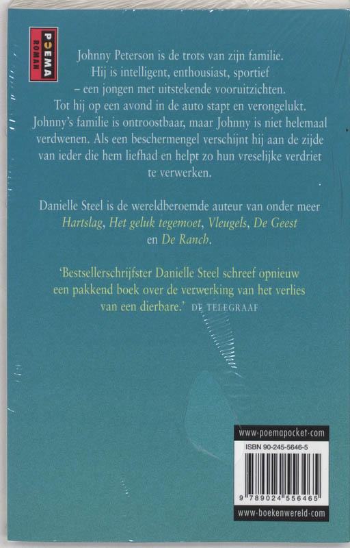 Achterkant van Beschermengel