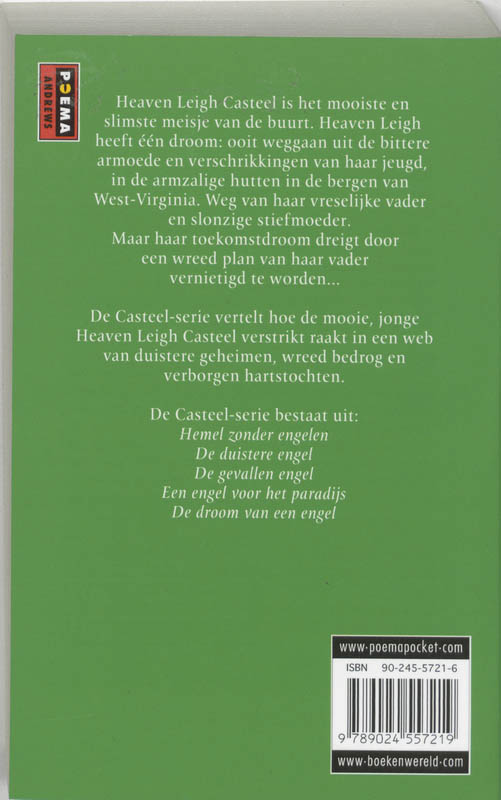 Achterkant van 1 Hemel zonder engelen