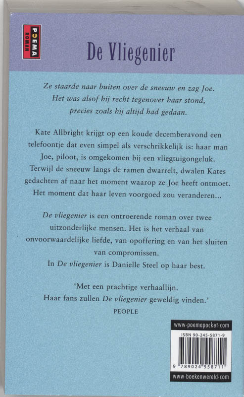 Achterkant van De vliegenier