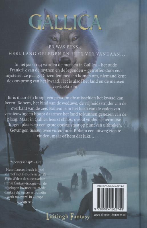 Achterkant van De kinderen van de weduwe