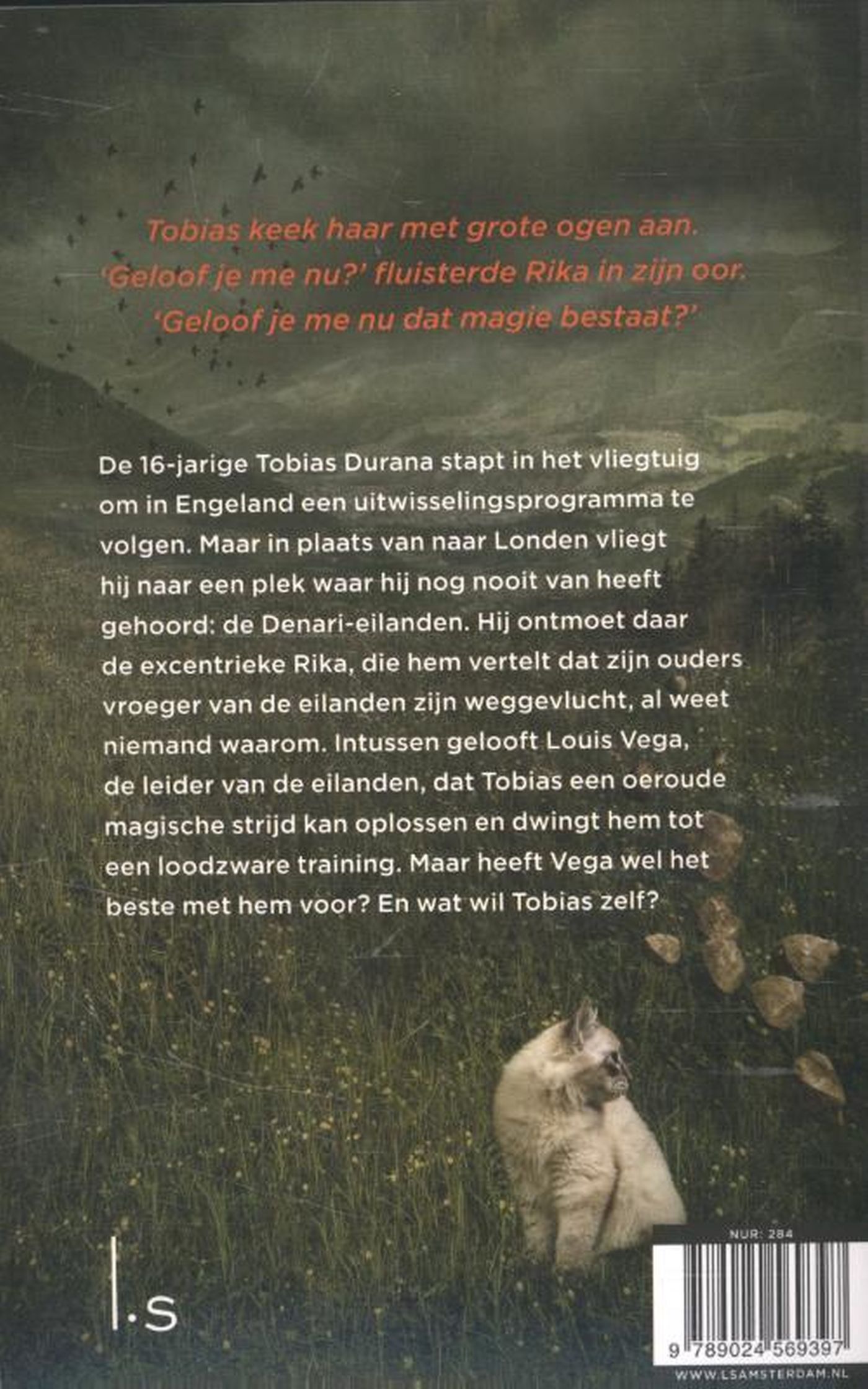 Achterkant van De nachtuilen