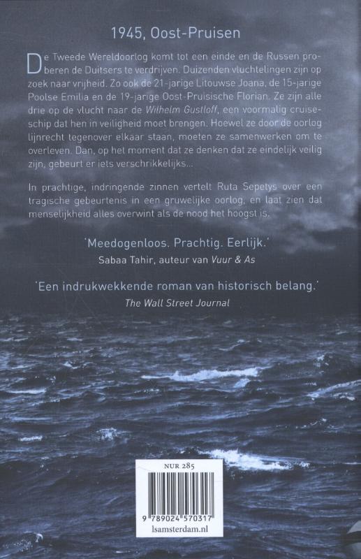 Achterkant van Zout van de zee