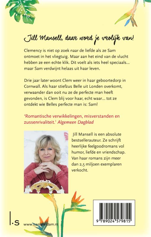 Achterkant van Ik zie je op het strand