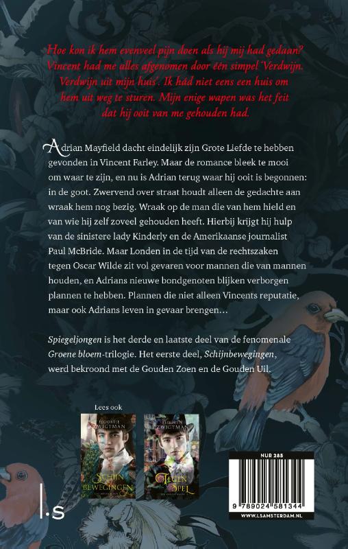 Achterkant van Spiegeljongen