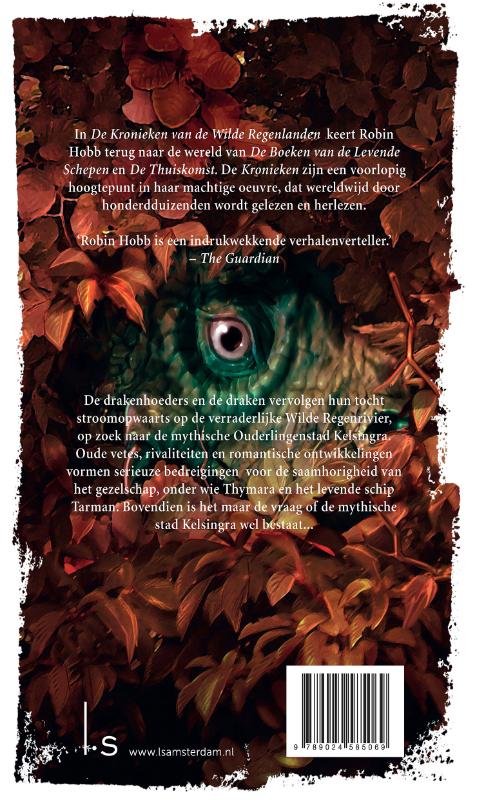 Achterkant van Drakenziel