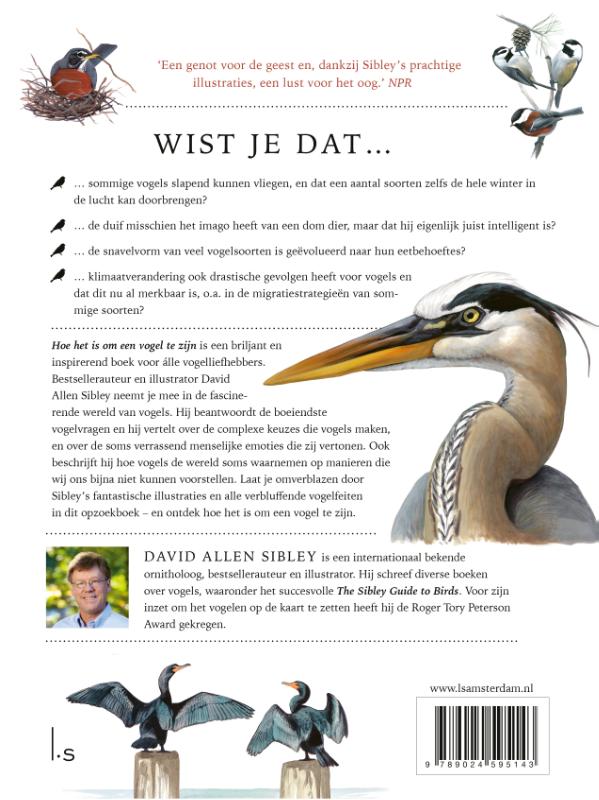 Achterkant van Hoe het is om een vogel te zijn