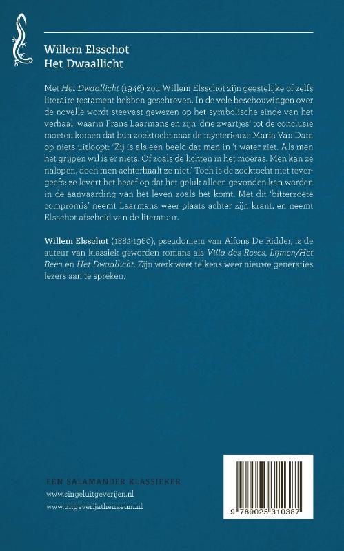 Achterkant van Het dwaallicht