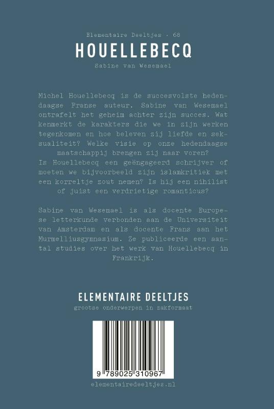Achterkant van Houellebecq