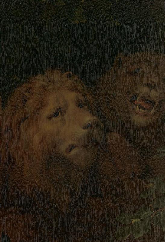 Achterkant van Bijbel