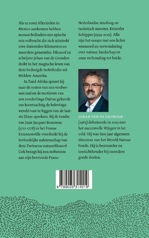 Achterkant van Het vlindertje van Methusalem