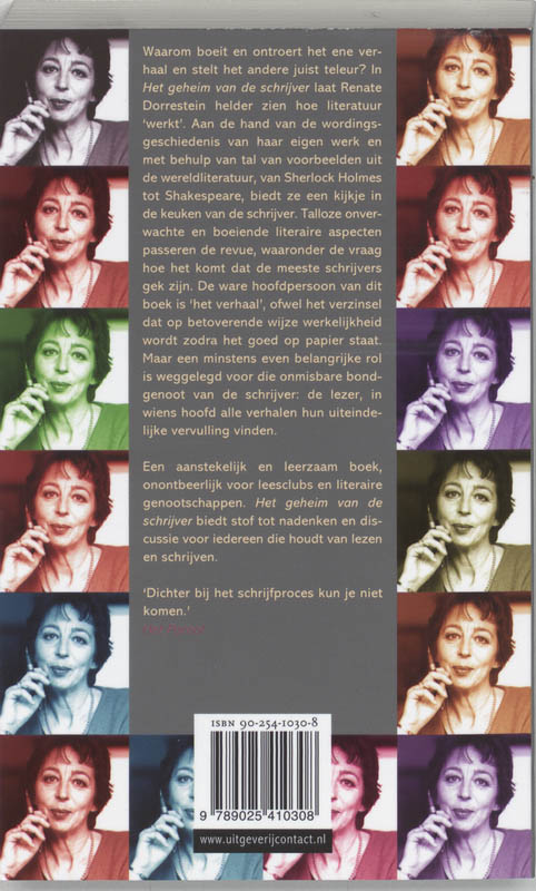 Achterkant van Het geheim van de schrijver