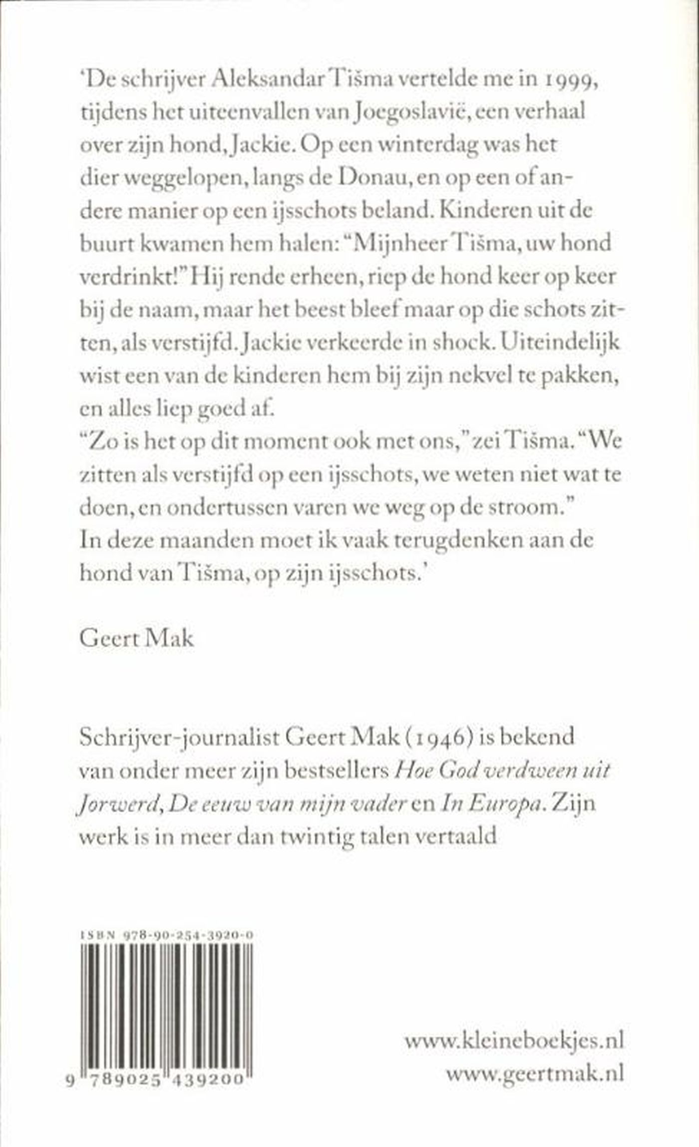 Achterkant van De hond van Tisma