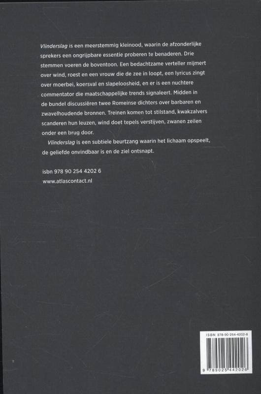 Achterkant van Vlinderslag