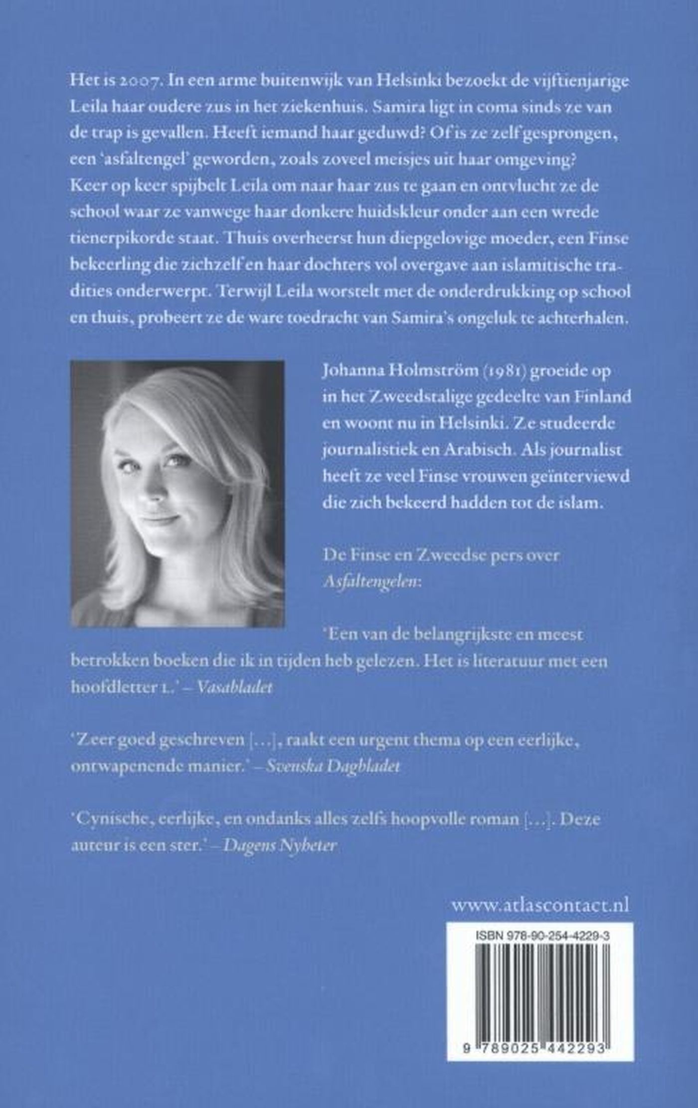 Achterkant van Asfaltengelen