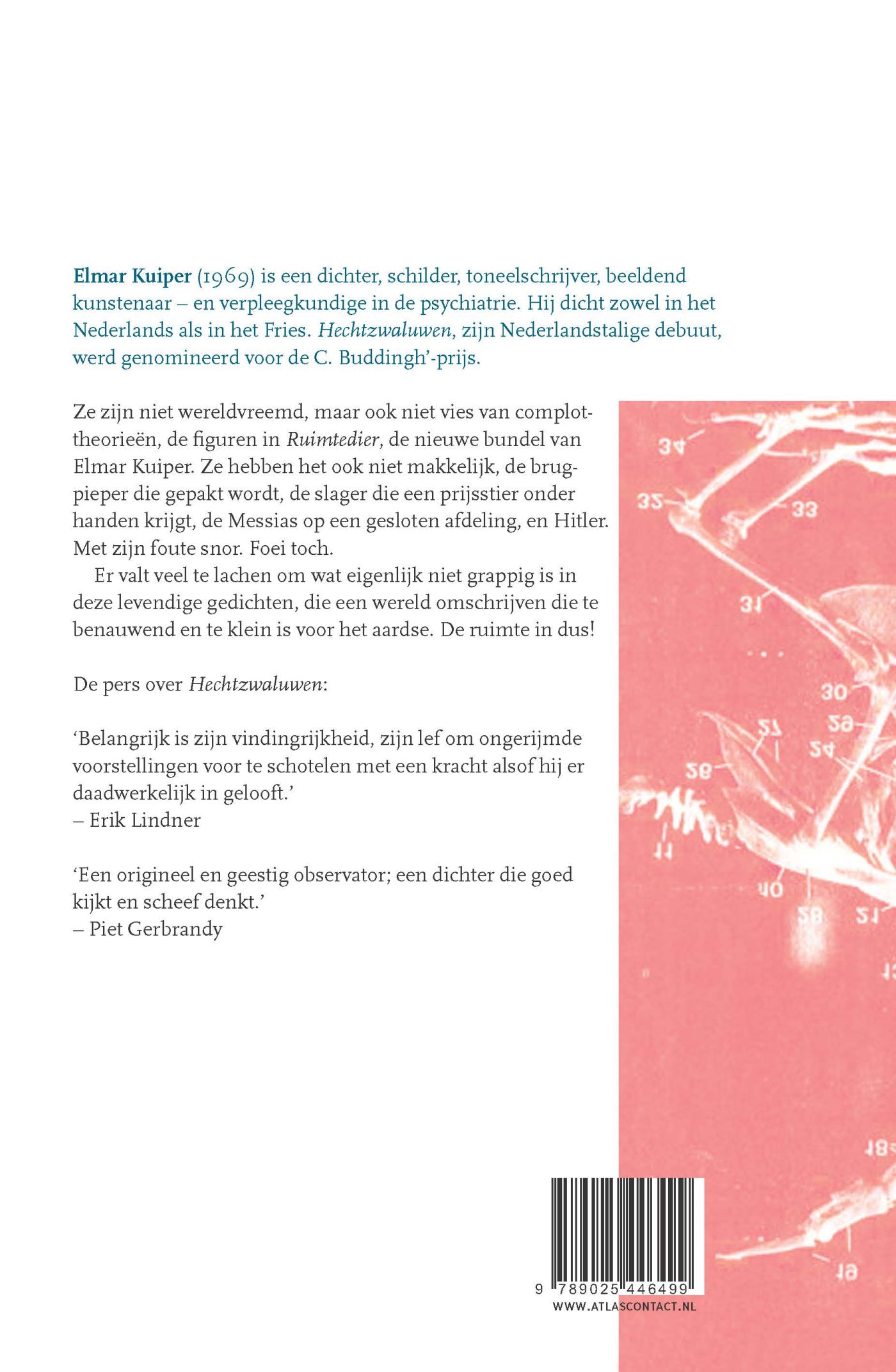 Achterkant van Ruimtedier