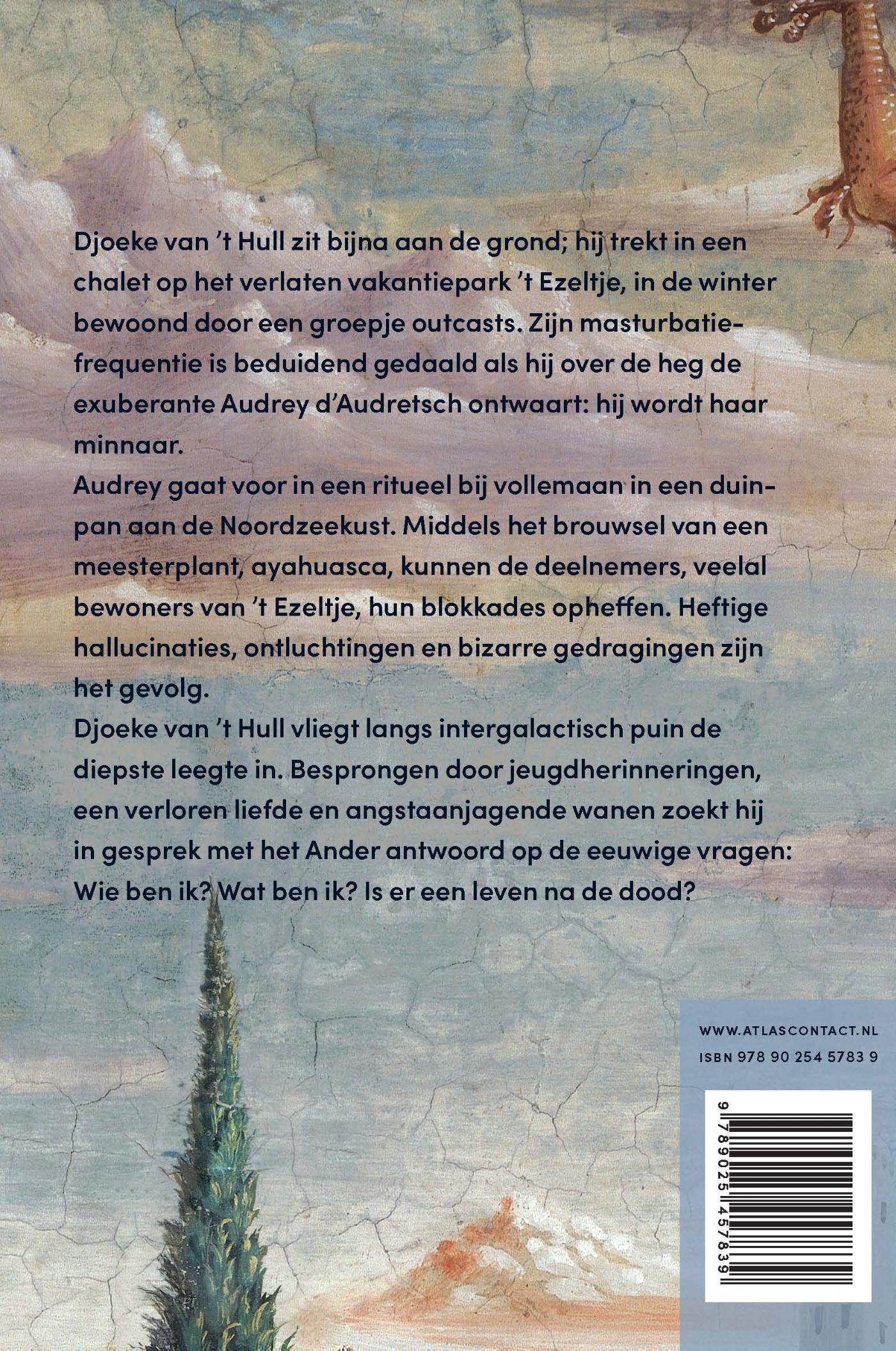 Achterkant van Chalet 152
