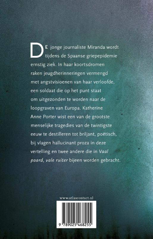 Achterkant van Vaal paard, vale ruiter