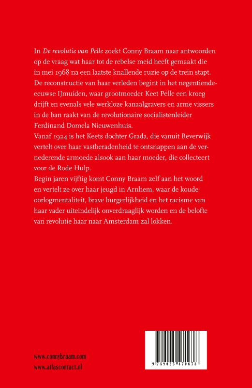 Achterkant van De revolutie van Pelle