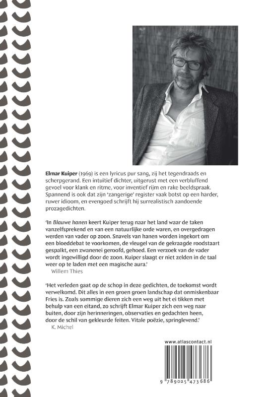 Achterkant van Blauwe Hanen